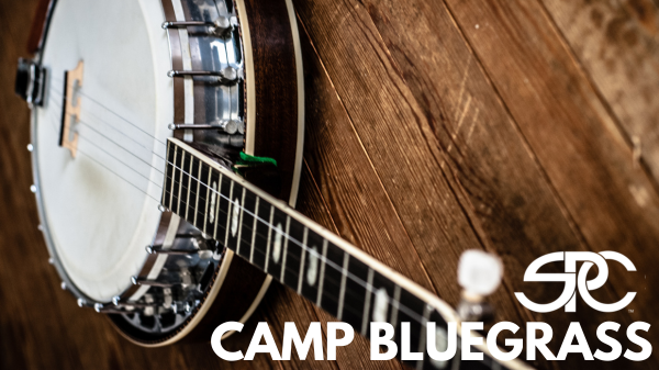 photo of a banjo
